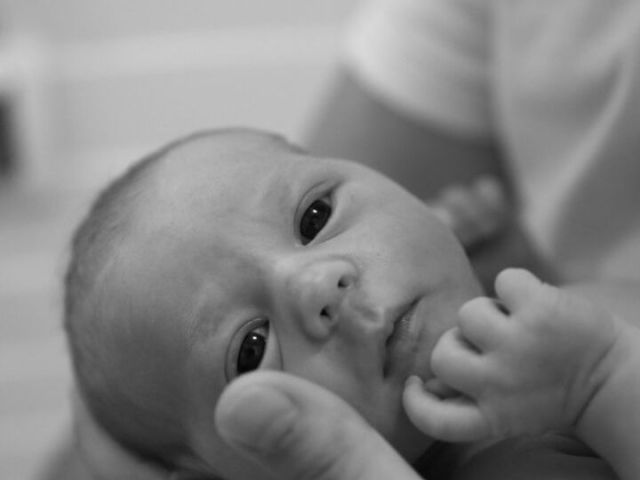 An image showcasing the In Vitro Fertilization package, provided by ADONIS - medical group of companies An image showcasing the In Vitro Fertilization package, provided by ADONIS - medical group of companies