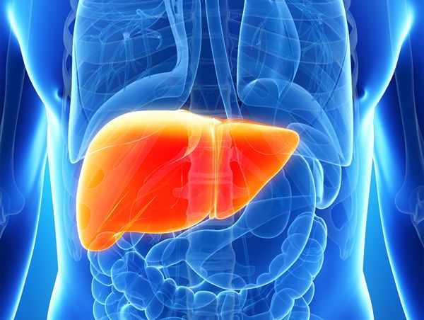 An image showcasing the Stem Cell Treatment For Liver Diseases package, provided by Medical Company ilaya An image showcasing the Stem Cell Treatment For Liver Diseases package, provided by Medical Company ilaya