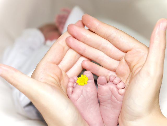 IVF with the use of donor oocytes IVF with the use of donor oocytes