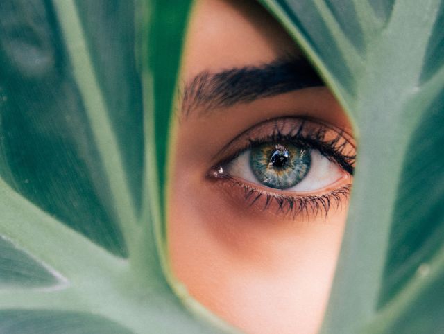 Cataract Turkey Cataract Turkey