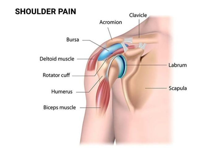 An image showcasing the Shoulder Surgery package, provided by The Spine & Rehab Group An image showcasing the Shoulder Surgery package, provided by The Spine & Rehab Group
