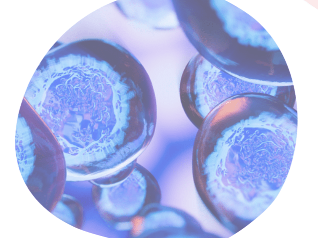 stem cell treatment-urology An image showcasing the Stem Cell Therapy package, provided by Vitality Medical & Research Center