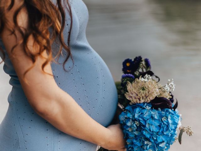 Surrogacy Program Surrogacy Program