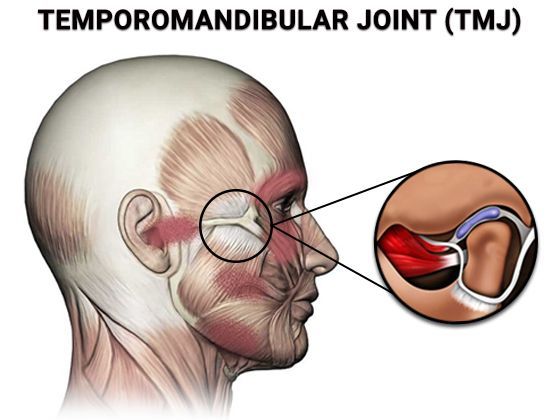 An image showcasing the Dentistry / Stomatology package, provided by Stamford Dental Arts An image showcasing the Dentistry / Stomatology package, provided by Stamford Dental Arts
