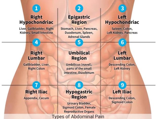 An image showcasing the Gastroenterology package, provided by Manhattan Gastroenterology An image showcasing the Gastroenterology package, provided by Manhattan Gastroenterology