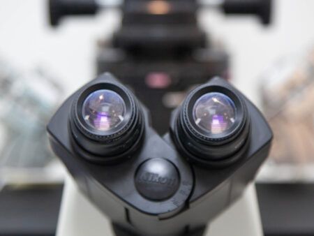 An image showcasing the In Vitro Fertilization package, provided by ADONIS - medical group of companies An image showcasing the In Vitro Fertilization package, provided by ADONIS - medical group of companies