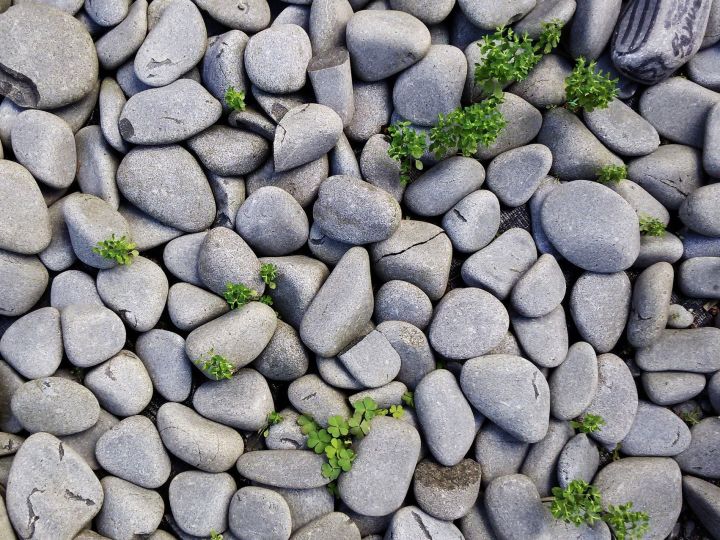 An image showcasing the Nephrology package, provided by Welcare Hospital An image showcasing the Nephrology package, provided by Welcare Hospital