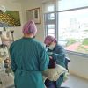 best dental clinic in the Philippines 